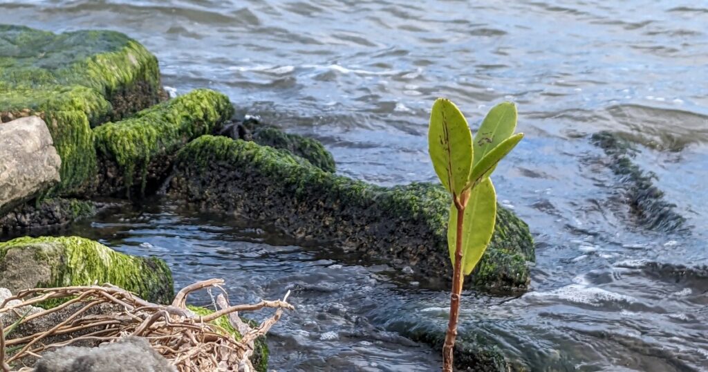 Clean water advocates in Titusville ask court to rethink latest ruling